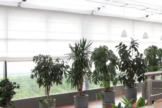 Нет заданного изображения